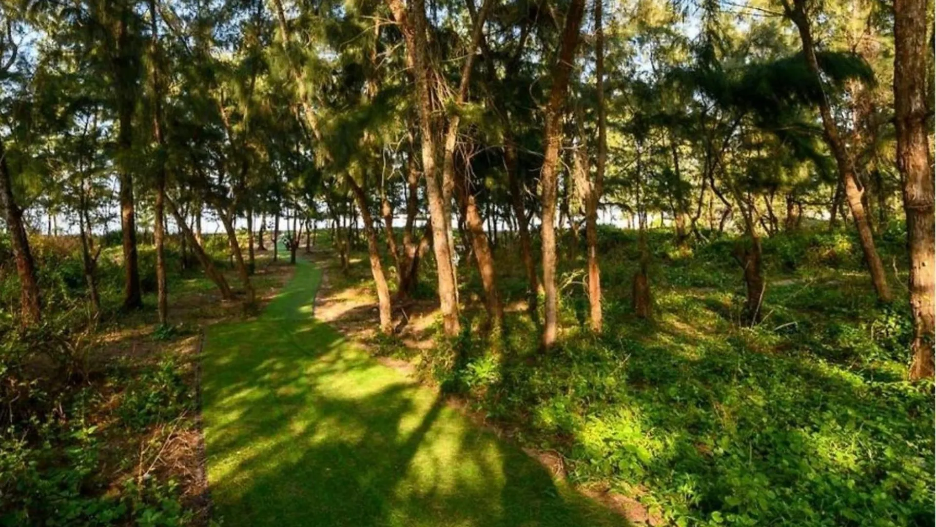 ****  Ha Hotel Apartments Ocean Front Hoi An Wietnam